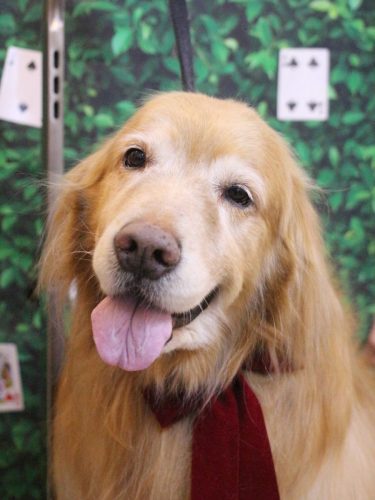 20250422五助くん